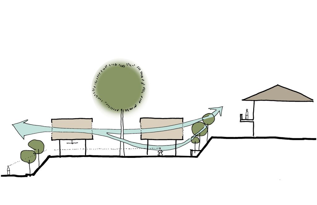See Through House (22)