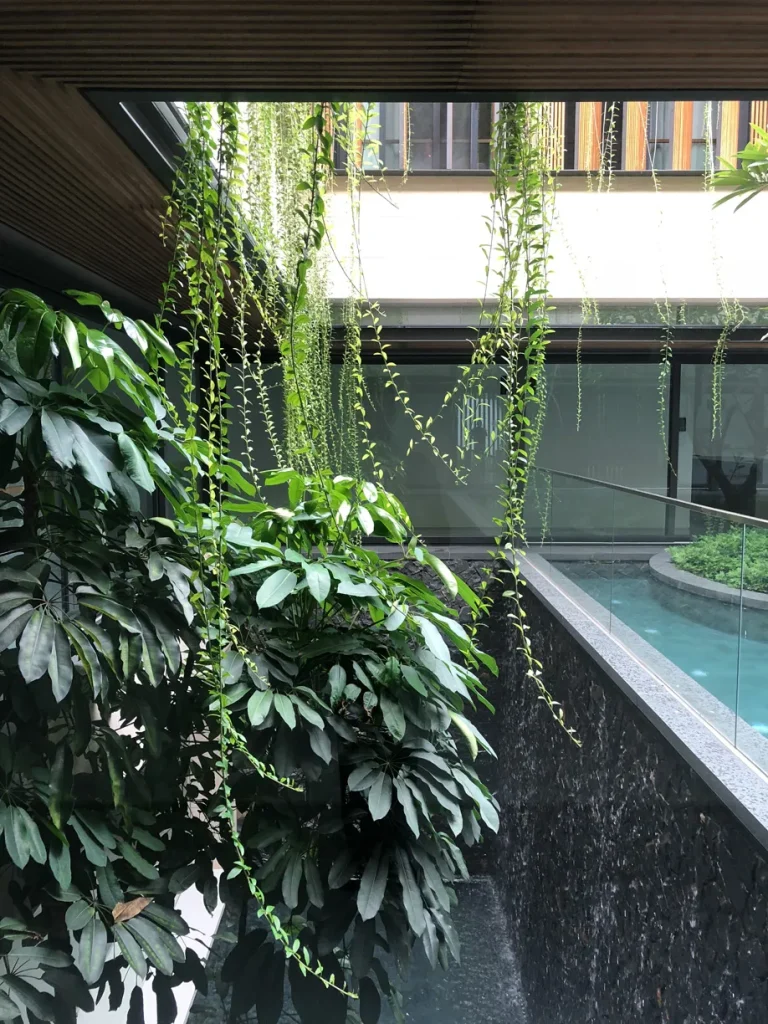 Water-Garden-House-24