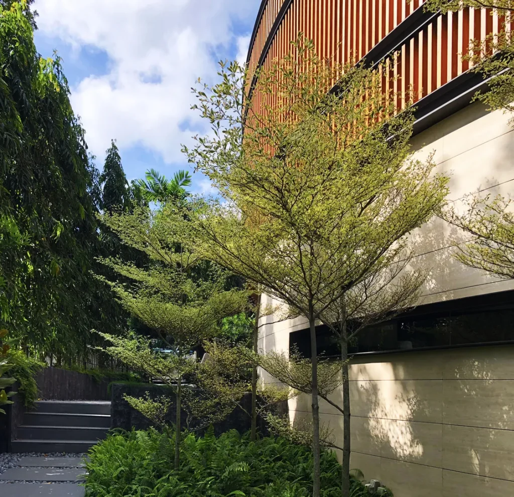 Water-Garden-House-8a