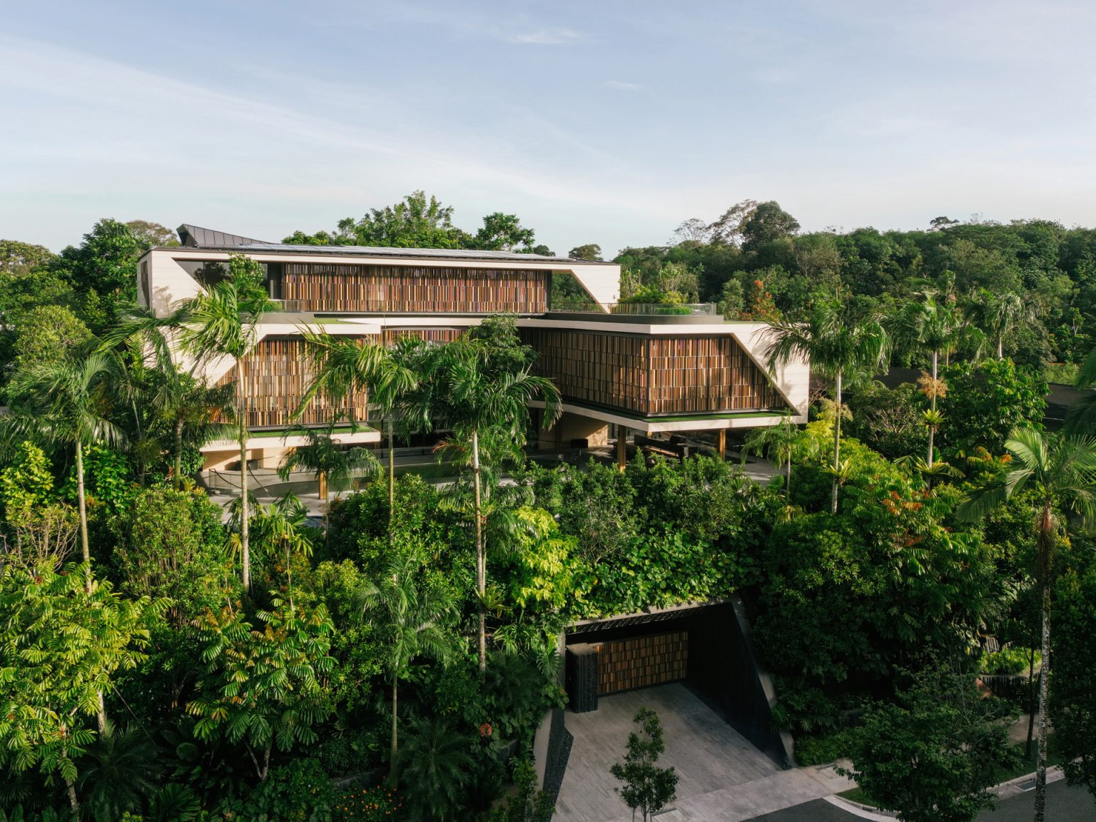 House Above The Trees (1)