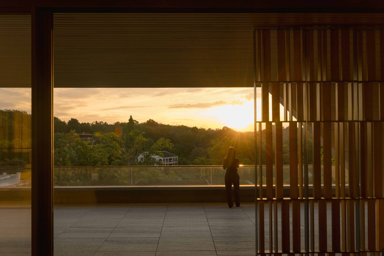 House Above The Trees (12)