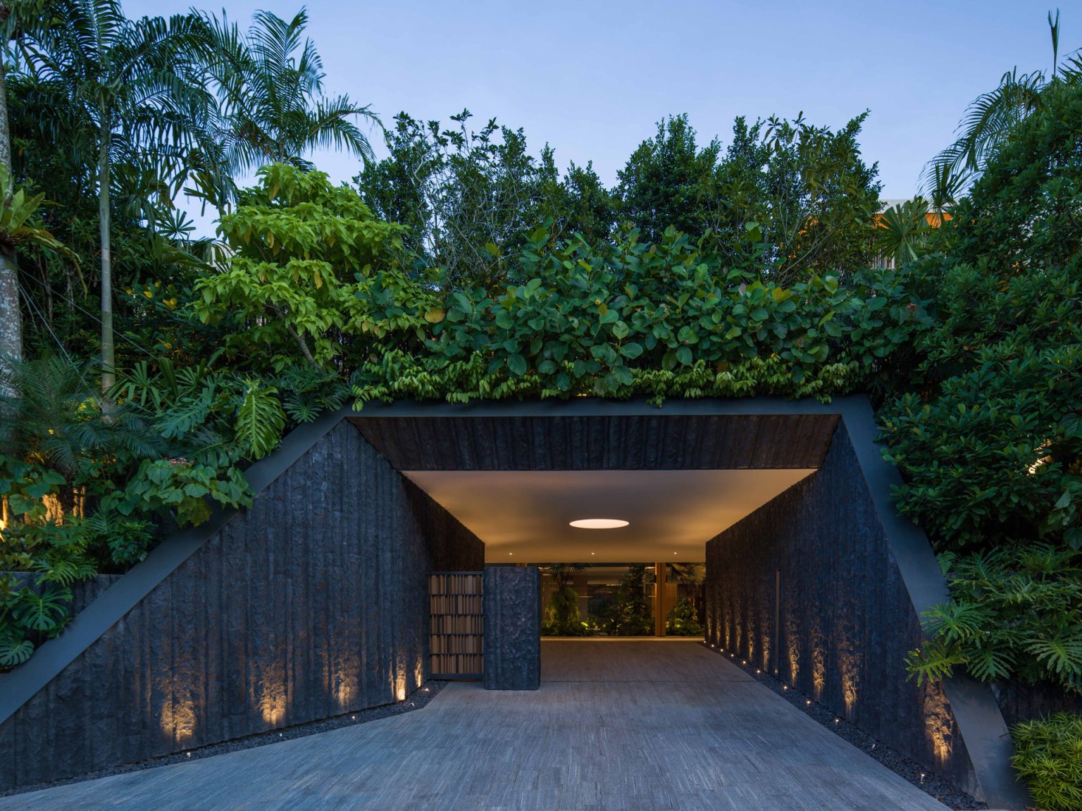 House Above The Trees (18)