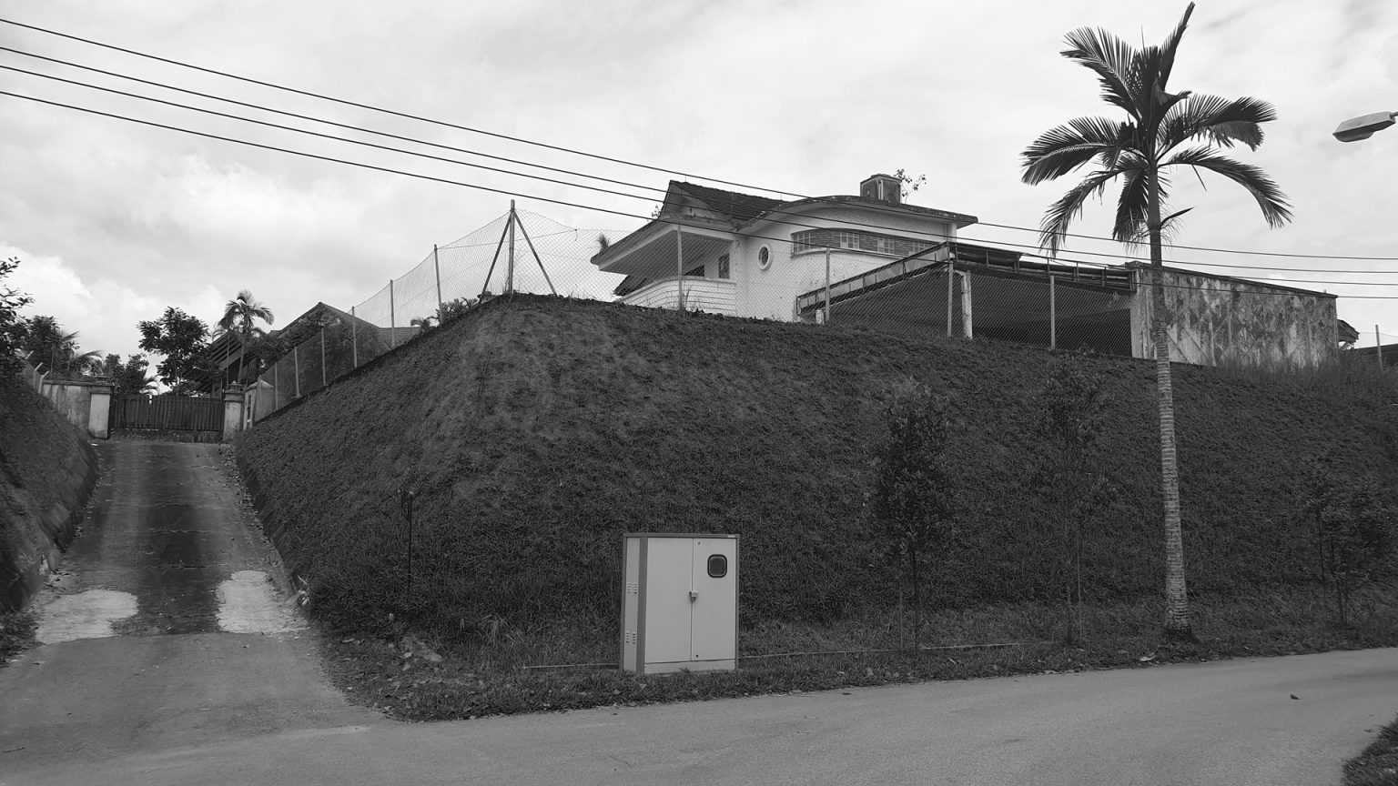 House Above The Trees (19)