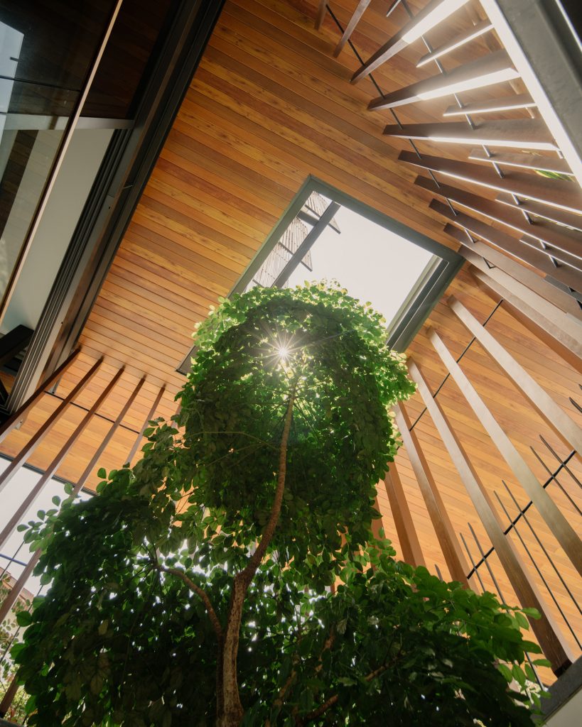 Second Nature House (17)