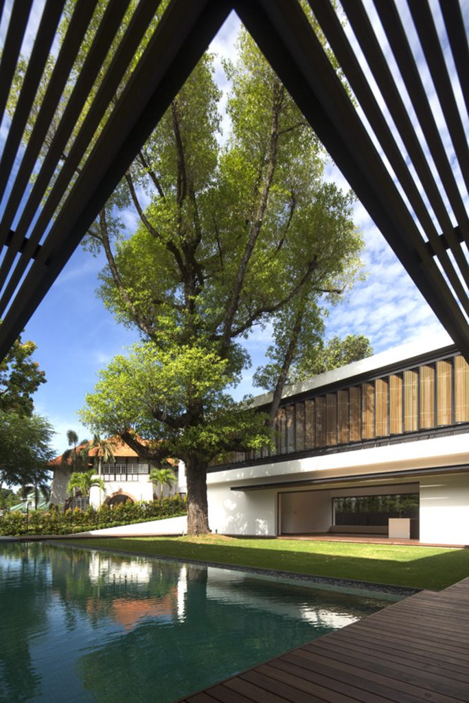 See Through House (8)
