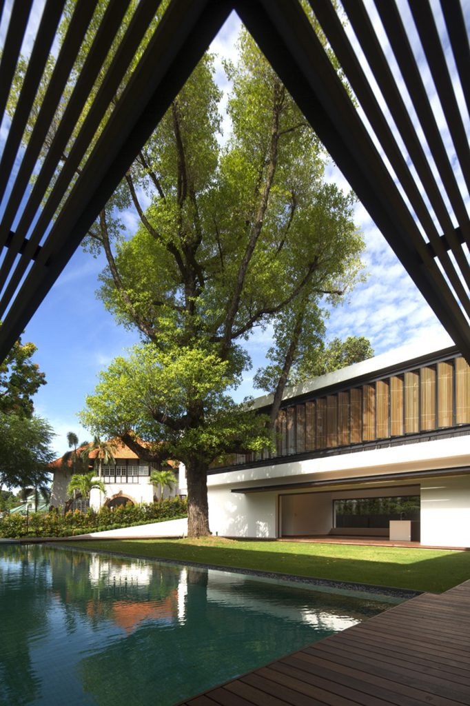 See Through House (9)