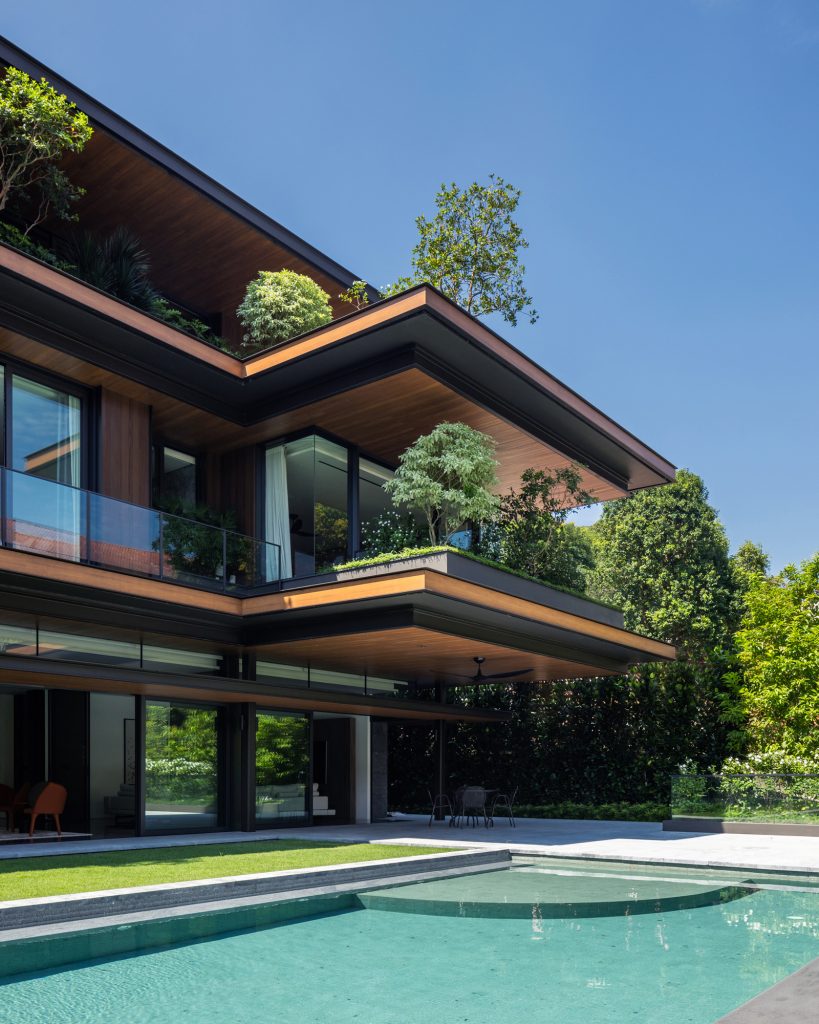 House of Stillness (4)