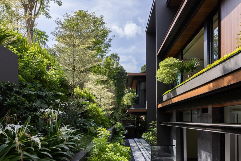 House of Stillness (6)