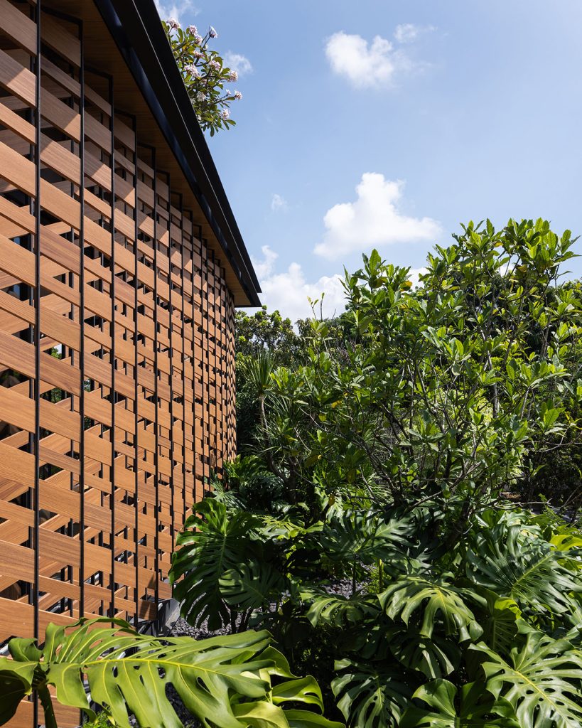 18 2BRG_Wallflower_Architects_Finbarr_Fallon_37 E1